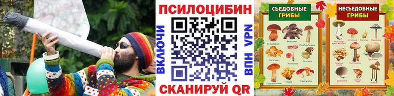 Псилоцибиновые грибы ЛСД  Заводоуковск 
